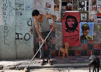 Cuba en caída libre: importa huevos y pierde exportaciones emblemáticas